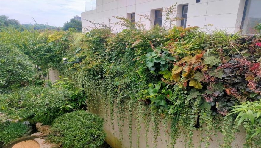 中铁生态城阅山湖植物墙
